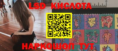 стаф Кулебаки